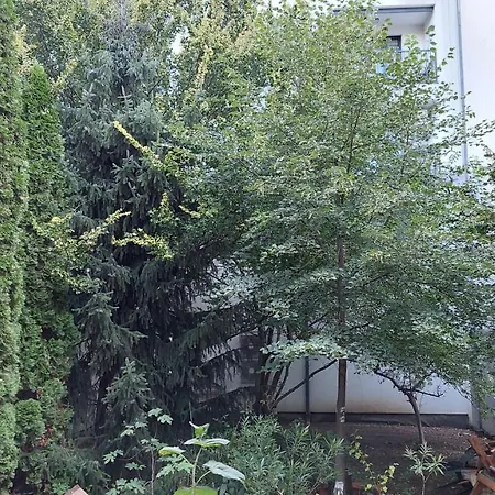 Apartamento Apartment Corona *