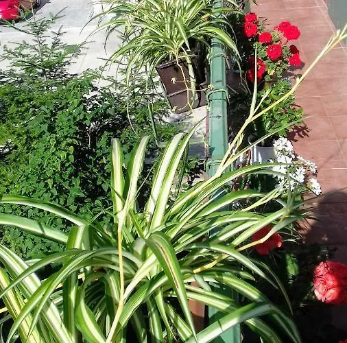 Apartment Corona * Kösice